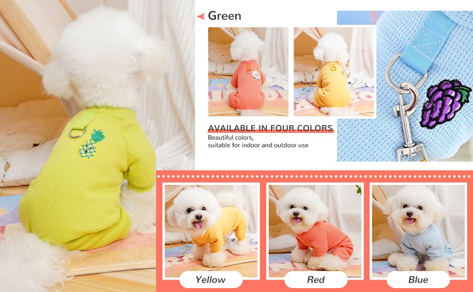 small dog clothes