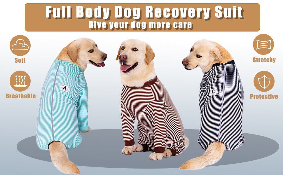 dog spay recovery suit female