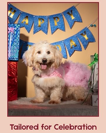 dog celebrating birthday , tailored for celebration