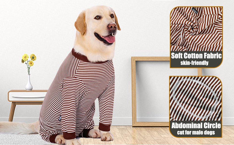 dog post surgery suit