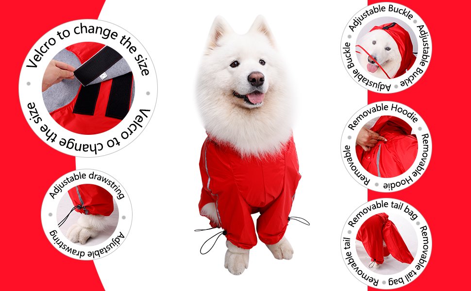 Dog raincoat 3