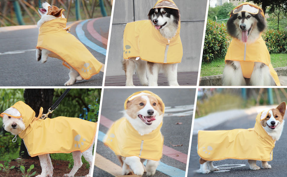 dog Raincoat