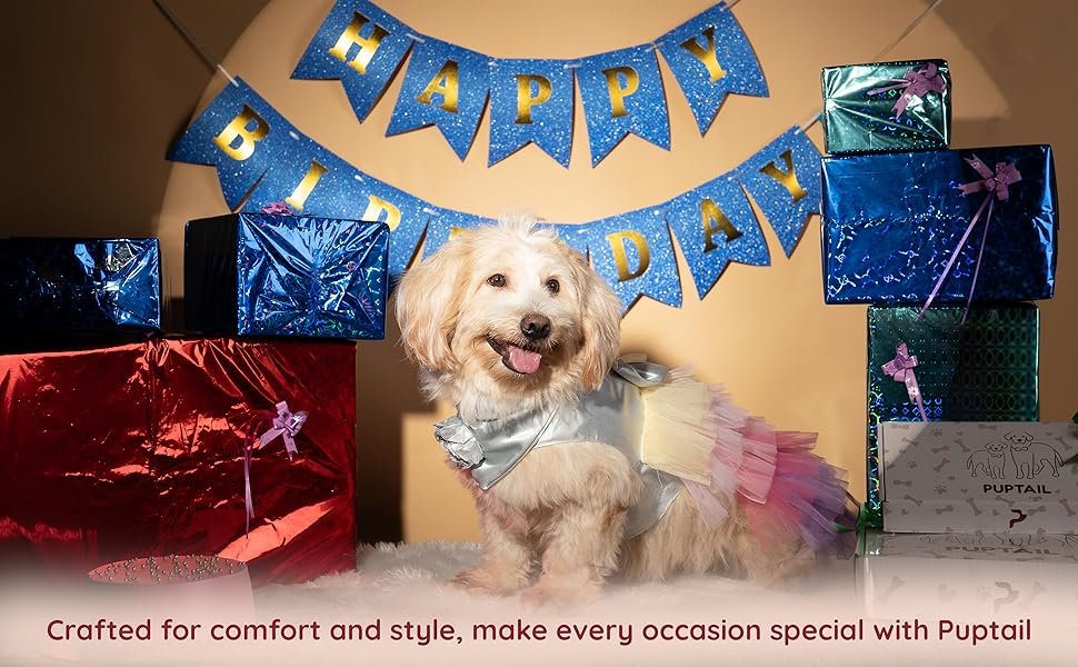 Dog wearing unicorn dress and celebrating birthday